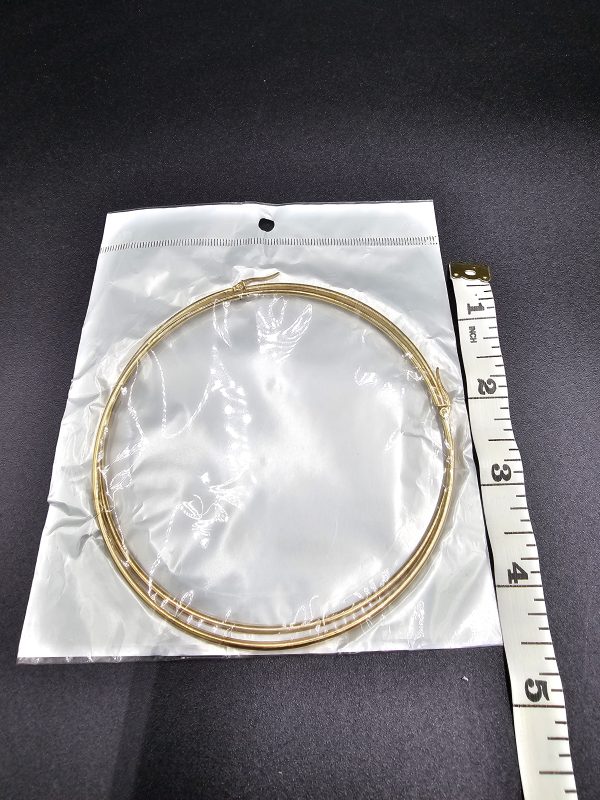 The Stainless Steel Hoop Earring