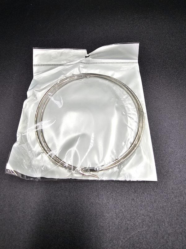 The Stainless Steel Hoop Earring